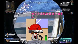 初めて作ることになったセンチネルしか使わんやつのクリップ集