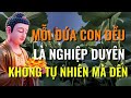 Mỗi Đứa Con Là Một Nghiệp Duyên Sự Thật Khiến Nhiều Cha Mẹ Giật Mình