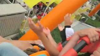 Rockin' Roller Coasters