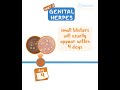 Genital Herpes Pt 2