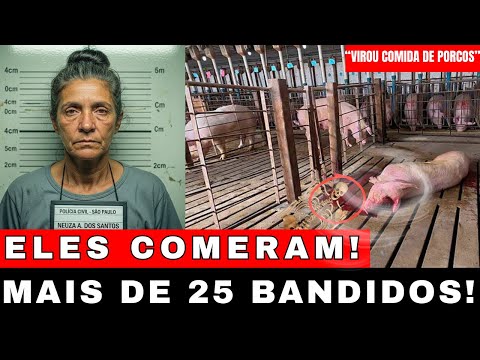 NEUZA APARECIDA: A CRIADORA DE PORCOS QUE ALIMENTOU 8 TRAFICANTES VIVOS AOS SUÍNOS NO INTERIOR DE SP
