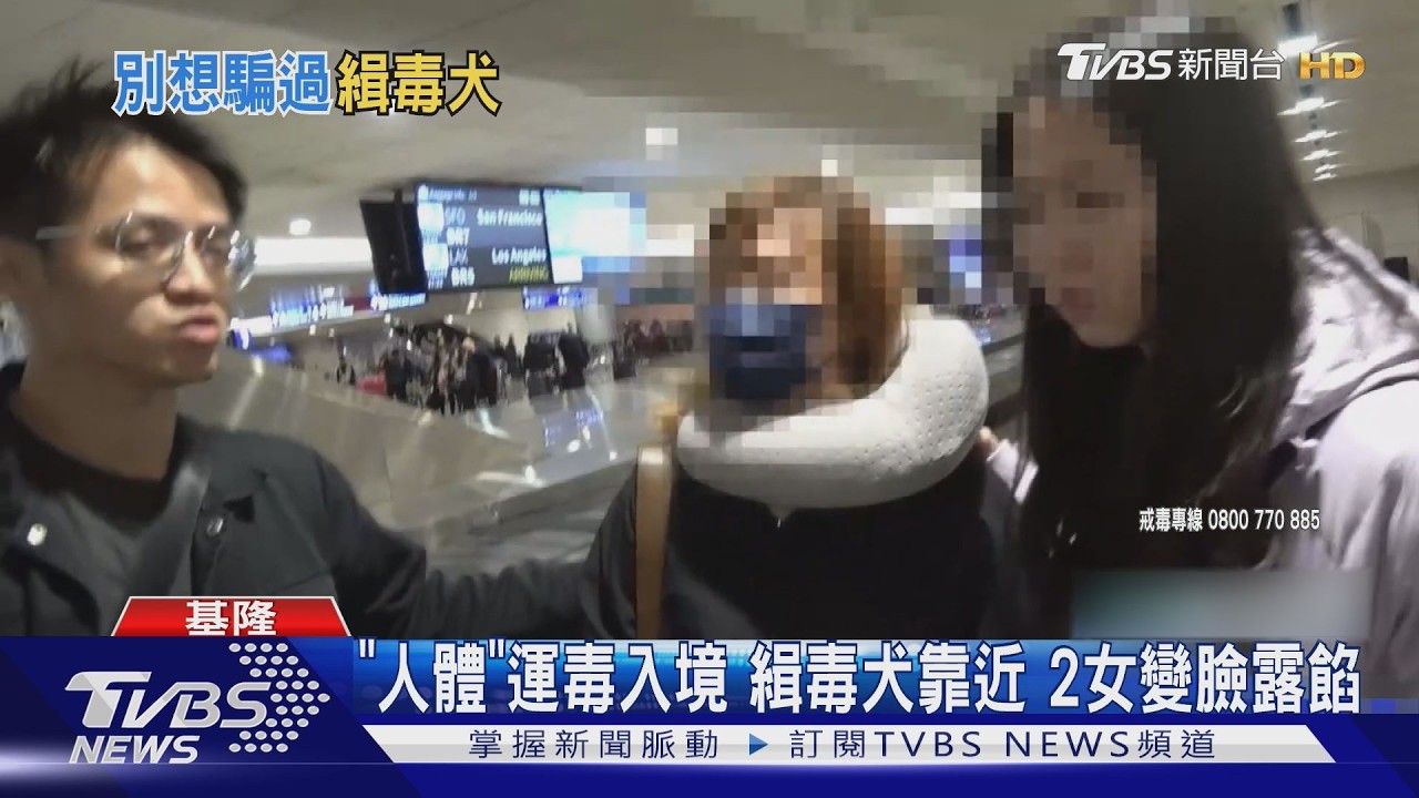影音/「人體運毒」入境桃機!緝毒犬坐下警告揪毒 2女秒變臉