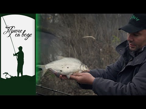 Priče sa vode ep. 69 26.01.2021. Zimske deverike, Tamiš kod Glogonja