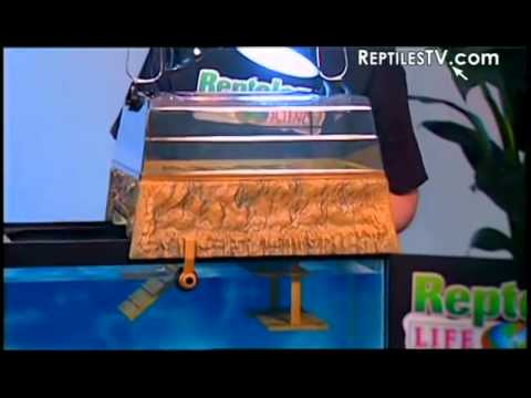 The Turtle Topper from Reptology Unveiled for ReptilesTV at Global Pet Expo