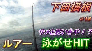 ＃18【下田横根】ルアーで青物狙い！泳がせに何かが・・・
