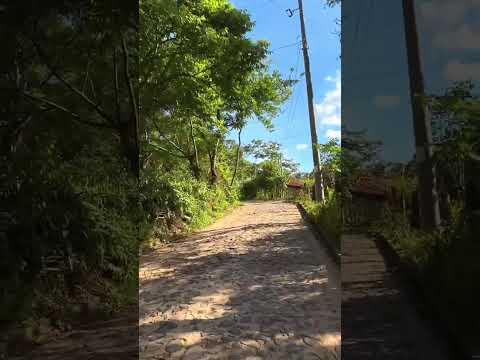 cantón san venito cinquera cabañas 🇸🇻
