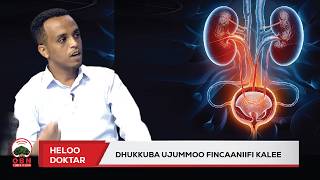 Download lagu Heloo Doktar || Dhukkuba Ujummoo Fincaaniifi Kalee  OBN Bitootessa 13,2018 mp3