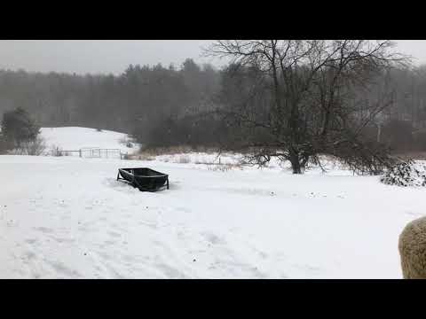 January Snow Storm at Bedlam Farm