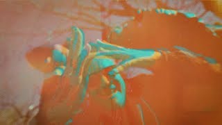 RBTS WIN - Weirdo Forest [Official Music Video]