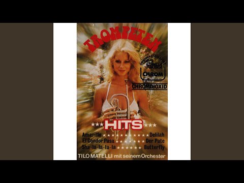 An einem Sonntag in Avignon