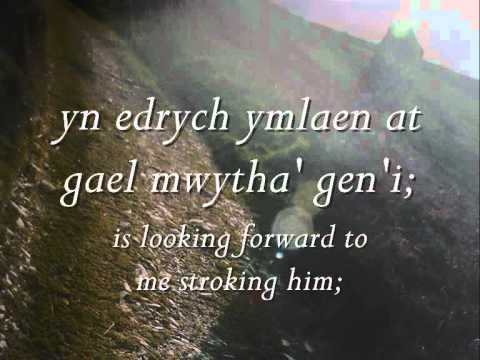 Nos Da, Mam - Steve Eaves (geiriau / lyrics)