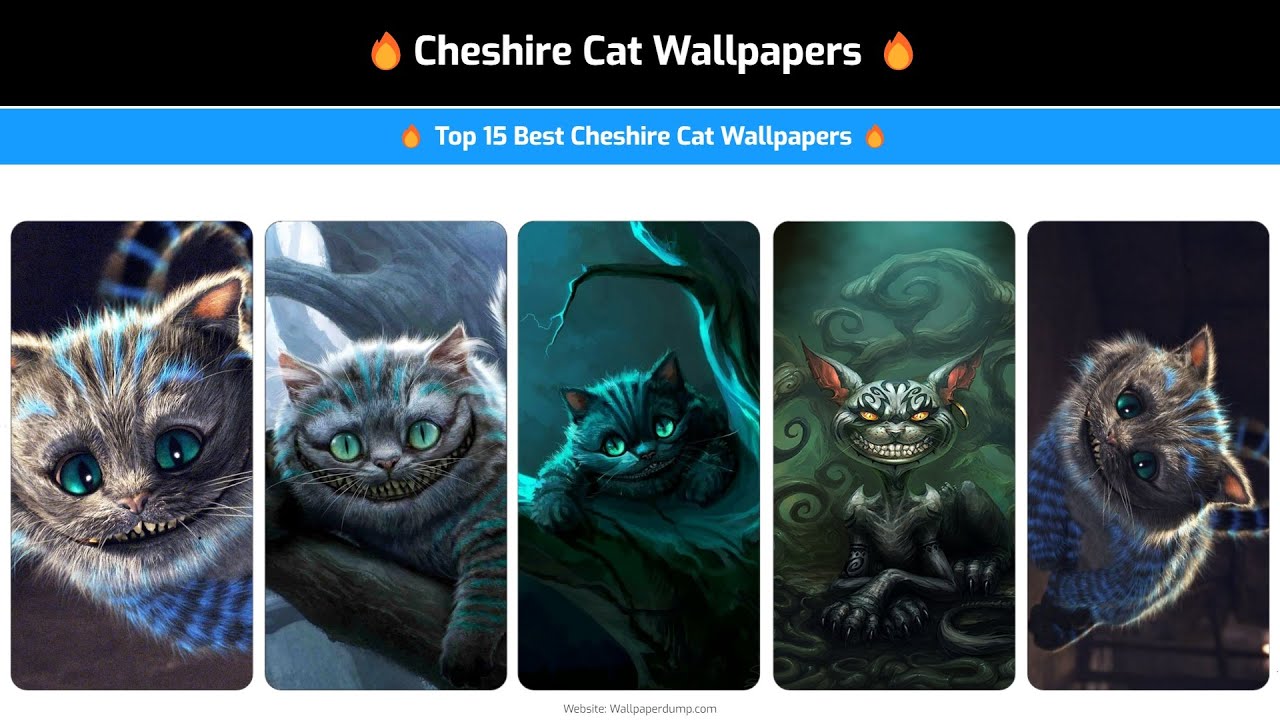 Cheshire Cat Wallpapers | Top 15 4k Cheshire Cat Wallpaper For Your Smartphone