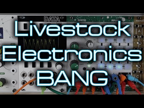 Livestock Electronics Bang image 4