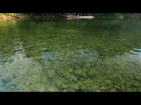 Erste Forelle in Slowenien #fliegenfischen #forellen #bled #entschneidert #Sava