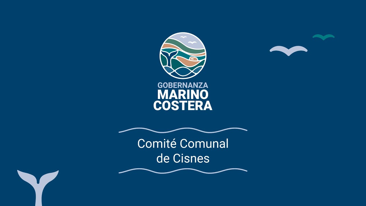 Comité Comunal de Gobernanza Marino Costera de Cisnes