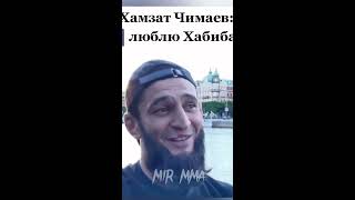 Хамзат Чимаев о Хабиба Нурмагомедове #shorts