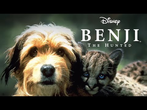 Official Trailer BENJI, THE HUNTED (1987, Joe Camp, Walt Disney)