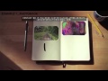 The Logbook Mockup After Efects Project Files Videohive Template