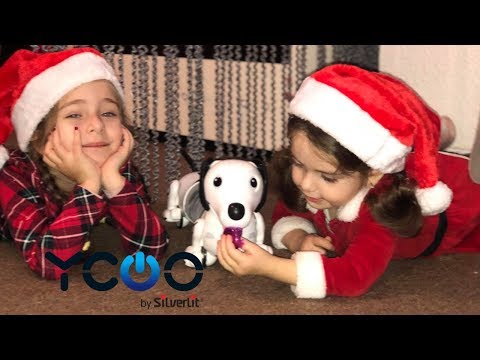 We adopted a puppy for Christmas