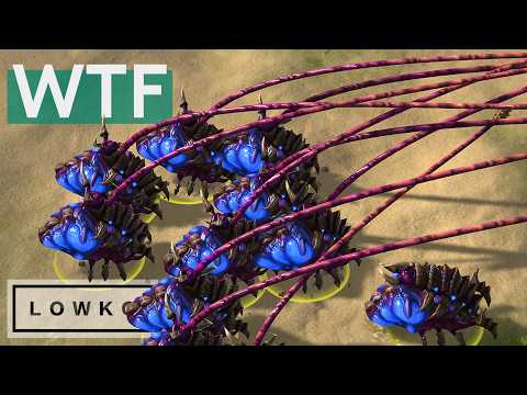 Reynor vs Maru: The GREATEST StarCraft 2 Series from the $700K Esports World Cup!