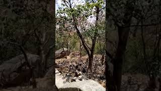 preview picture of video 'vallimalai temple tamilnadu 26-05-2018'