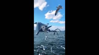 boa noite assista esse louvor se poder compartilhe se possivel inscreva-se em nosso canal ajuda nos