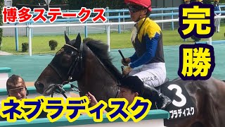 やっぱり強い😎🐴#ネブラディスク#犬のいる暮らし #博多ステークス 