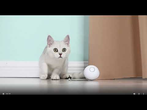 Интерактивный мяч для кошек Smart Rolling Ball с лазером Догоняйка CatNip LED серый - фото 1 - id-p1410063078