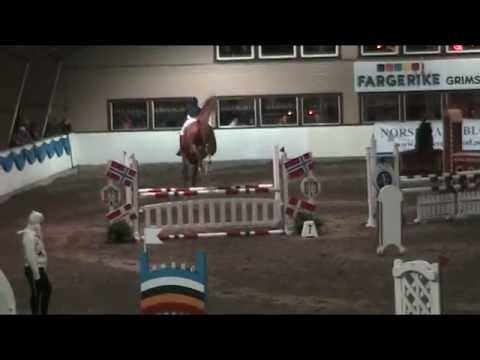 Florus (Arezzo VDL x Iroko) - Indoor Norwegian Championships