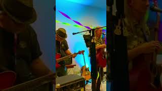 Ruby #ruby #acousticcover #shorts #rawlings #welch