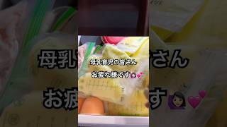 🇺🇸👶🏻🍼【母乳の保存方法と保存期間】４４４で覚える！