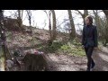 Music Video: New Desert Blues- Eli (Unofficial ...