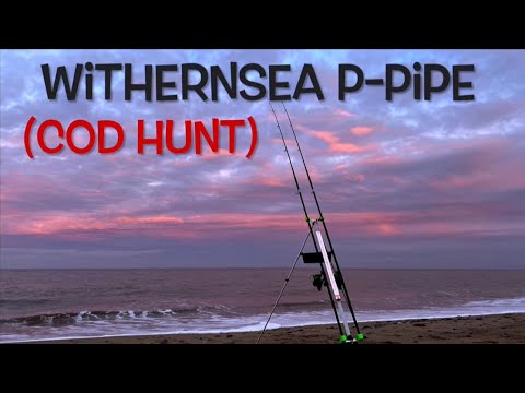 Cod hunting. Holderness coast. Withernsea. 
