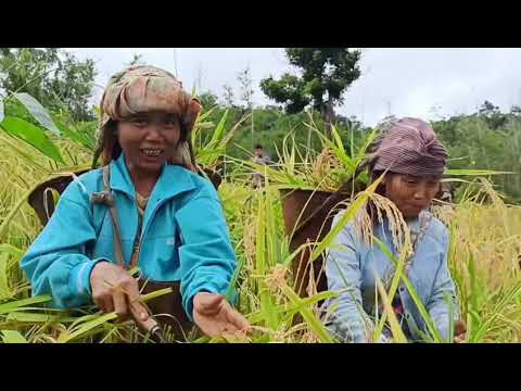 B.C.M Laisawral B.K.H.P Estheri group te leh T.K.P Abednego group te buh seng hnatlang(21sep2020)