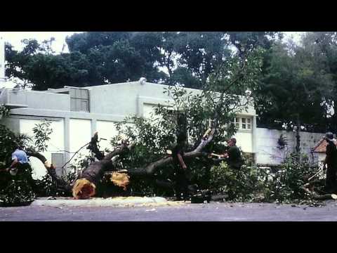 Last Days of Vietnam