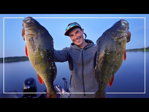 TAKIE OKONIE z POWIERZCHNI! | ALE ZABAWA... | S13Ep22