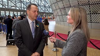 Sikorski acusa a Hungría de una "escalada" que favorece a Putin por el veto