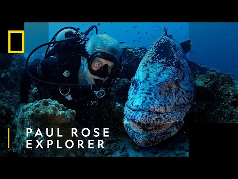 Meet Paul Rose | National Geographic