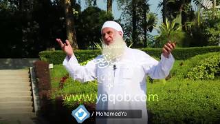 02 - الجزء الثاني  |( #قرآنا_عجبا )| الشيخ محمد حسين يعقوب image