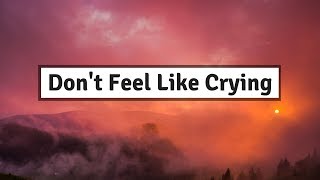 Sigrid - Don&#39;t Feel Like Crying (Lyrics) | Panda Music