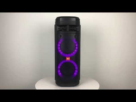 FEIYANG SPEAKER FG206-06