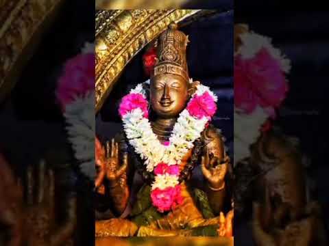 Arunachala ✨️ | annamalaiyanae | thiruvannamalai | Sivan Addict