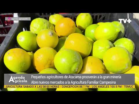 NOTA INDAP TIERRA AMARILLA