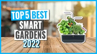TOP 5: Best Smart Gardens in 2022 (on Amazon)