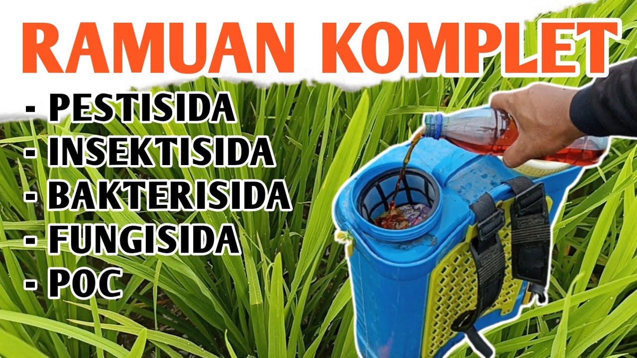 Jika Petani Padi Tahu Ini, Pabrik Pestisida Bisa Tutup, Cara Membuat Pestisida