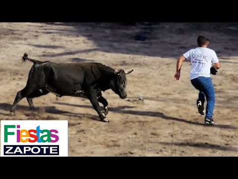 COSTA RICA BULL FIGHTING | THE BULL ALWAYS WINS | Fiestas Zapote!