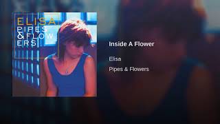 Inside A Flower