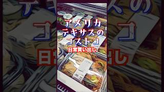 【アメリカ】テキサスのコストコ｜日常買い出しの様子