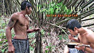 Download lagu Suku Dayak || Solo Camping di Hutan Bambu Kalimantan mp3