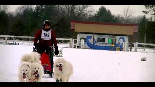 preview picture of video '2015 Kalkaska Juniors 2 & 3 sled dog race'